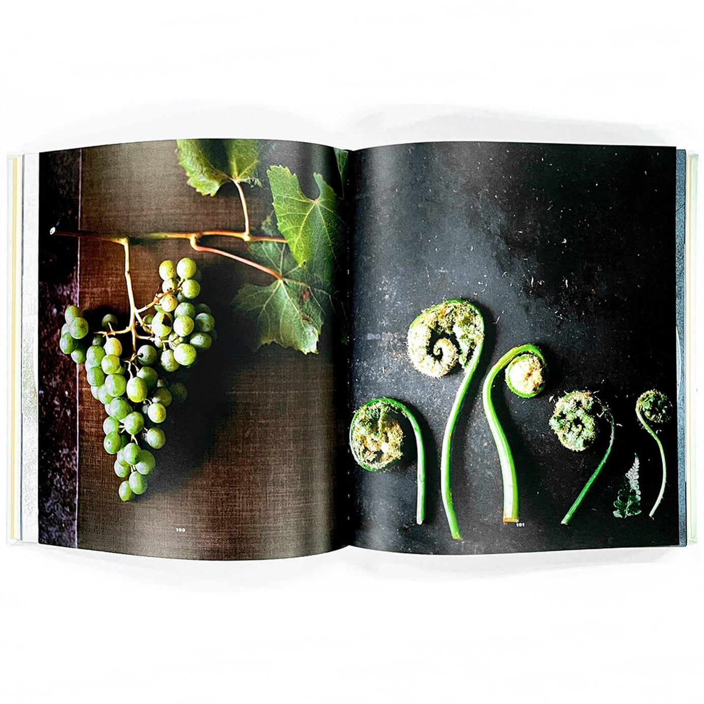 NOMA- Time and Place in Nordic Cuisine - dR
